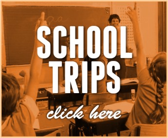 Roller skating is now available as a school trip at Rollacity Rochford. 